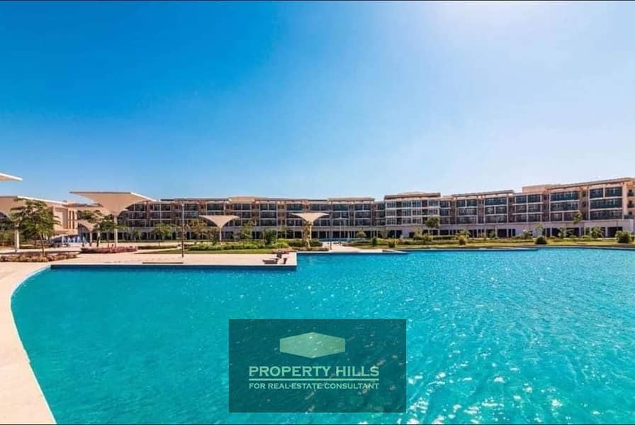 12 7ec279ae-8a8d-4d46-80b9-7e28f8ff2ef6. jpg