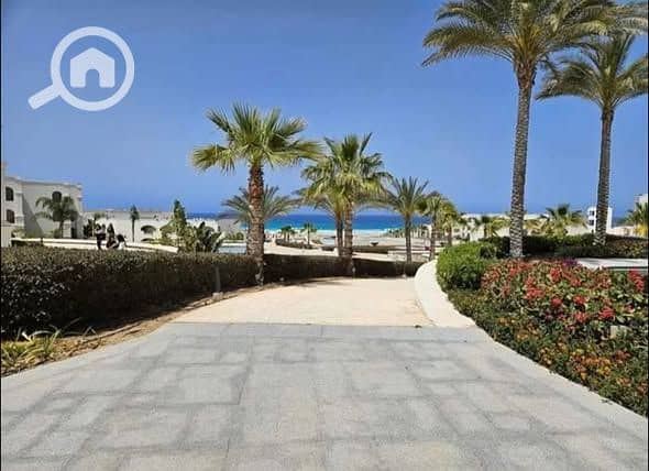 9 585140177_122170837118751377_4615647832078496896_n. jpg