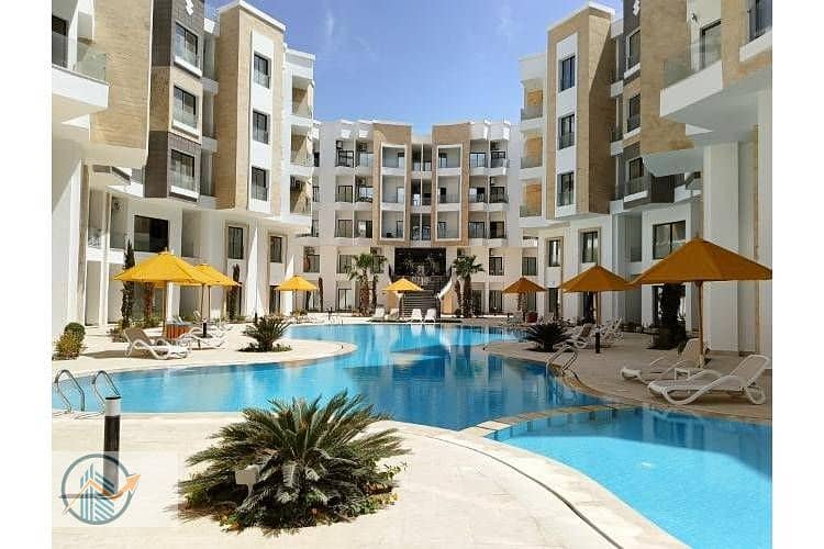 IMG20250407123141. jpg