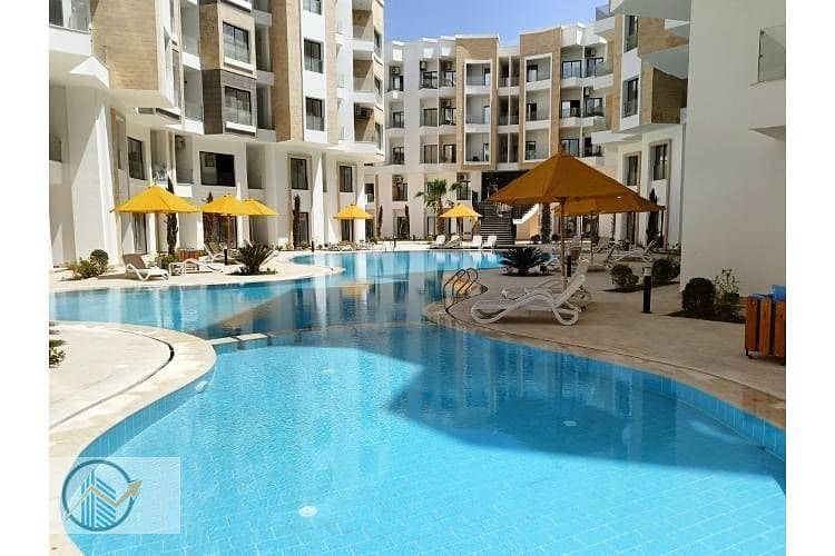 10 IMG20250407123151. jpg