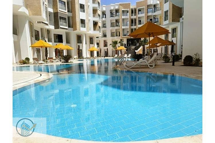 11 IMG20250407123156. jpg