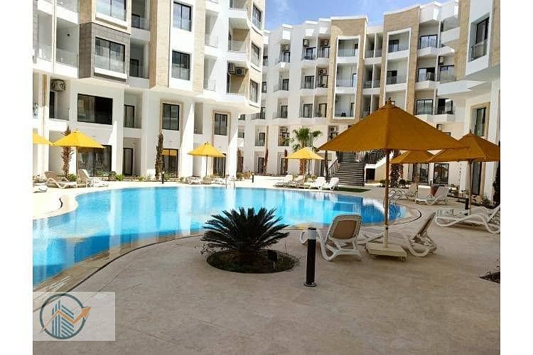 12 IMG20250407123216. jpg