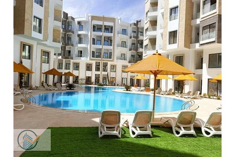 13 IMG20250407123248. jpg