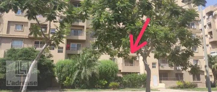 5 IMG-20251119-WA0009. jpg