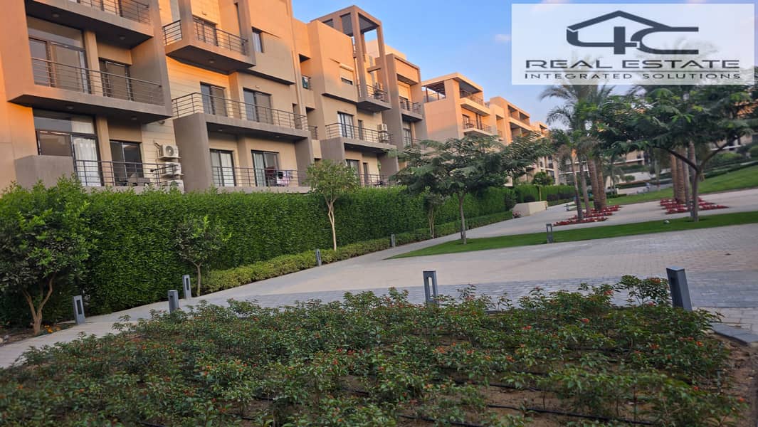 5 20251117_162500. jpg