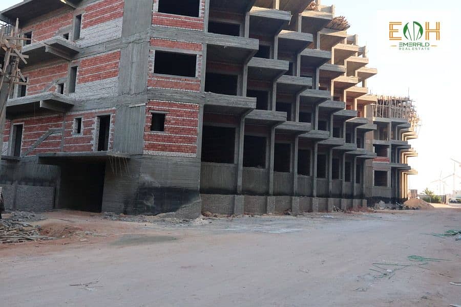 6 IMG_1449 - Copy - Copy (2). jpg