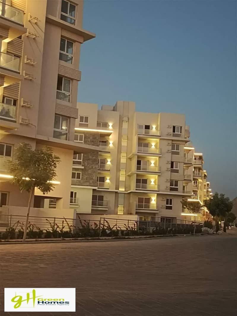 11 461788176_521857747472823_8411213269252997248_n. jpg