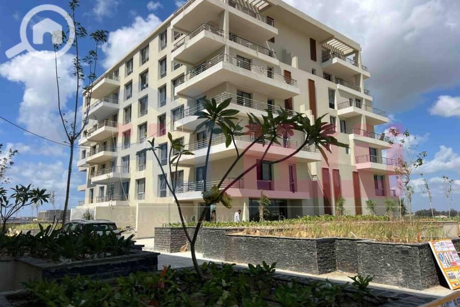 8 WhatsApp Image 2025-08-24 at 13.39. 11_616dfc4c. jpg