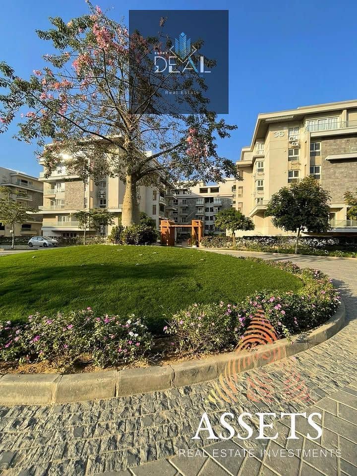 16 529480752_1845354509355611_414462686369558647_n. jpg