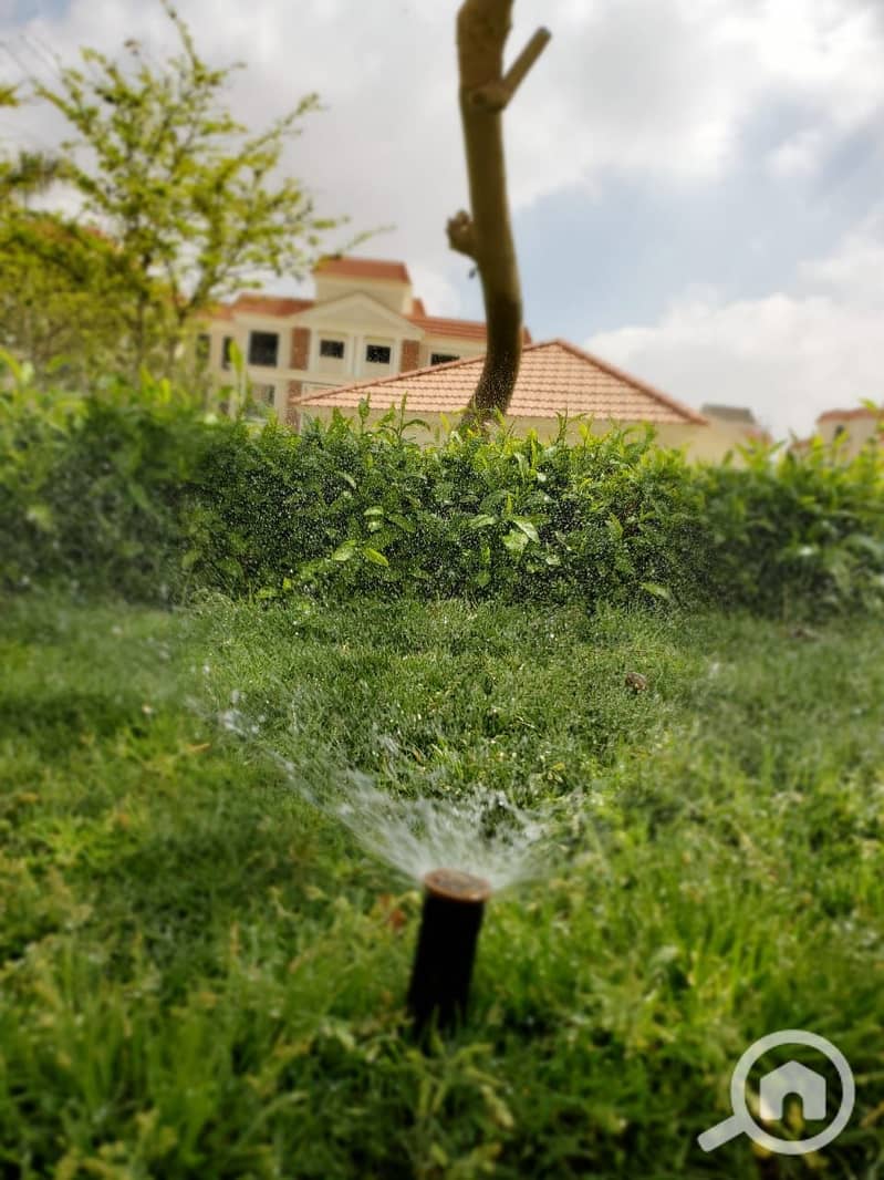 5 WhatsApp Image 2020-11-27 at 11.53. 50 AM. jpeg