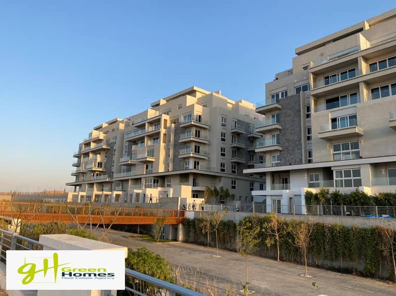 461643080_522029057455692_5620203684457082839_n - Copy. jpg 461643080_522029057455692_5620203684457082839_n - Copy. jpg