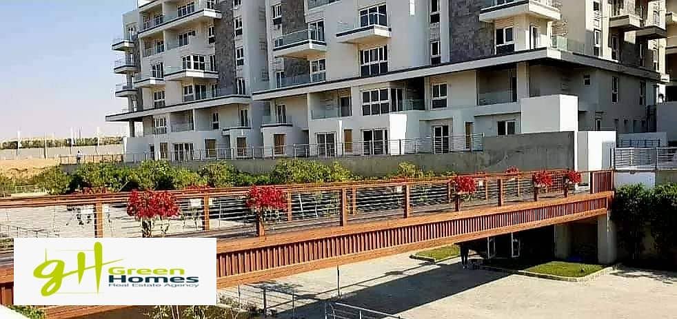 2 461659998_522028707455727_6602223144933141894_n. jpg