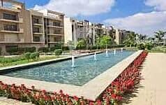 11 images (18) (1). jpg