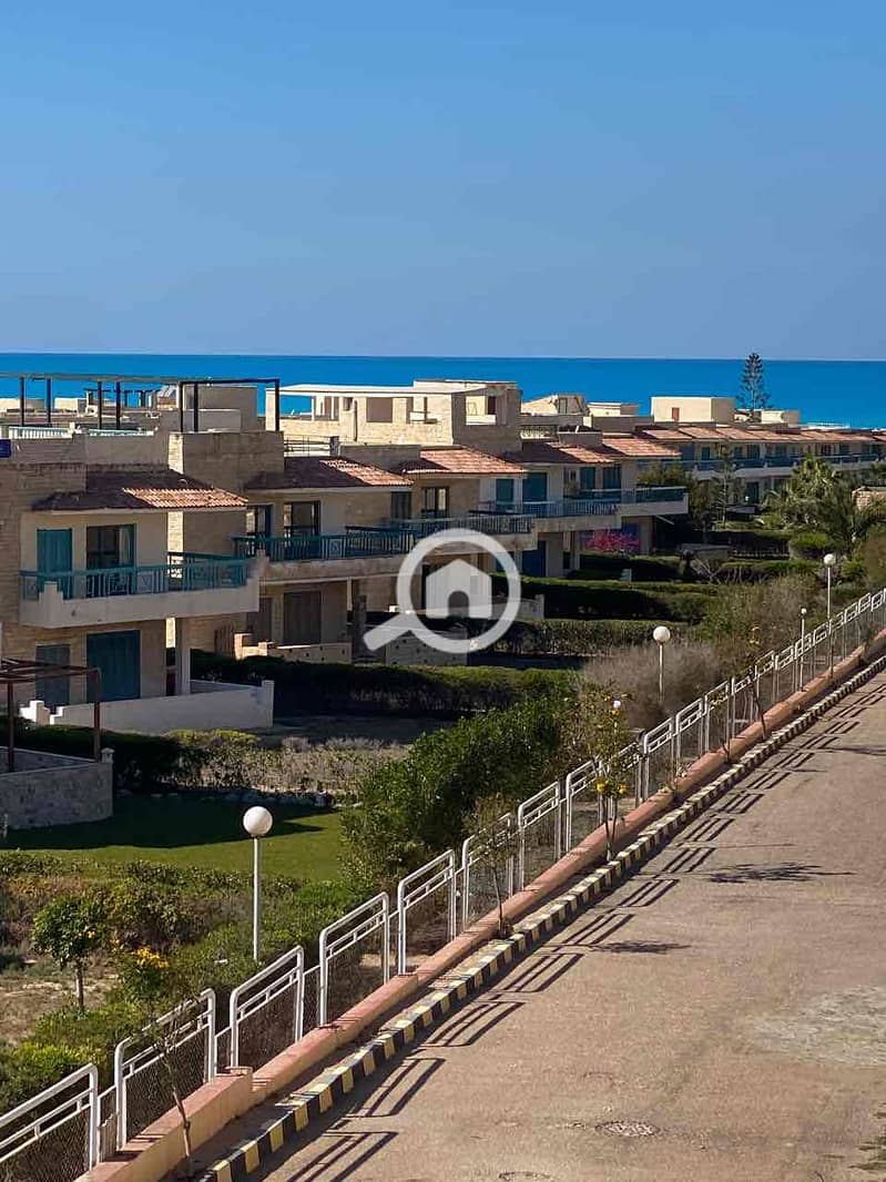 13 8f9a0cd4-d381-4ebd-8492-d55a73748c95. jpg