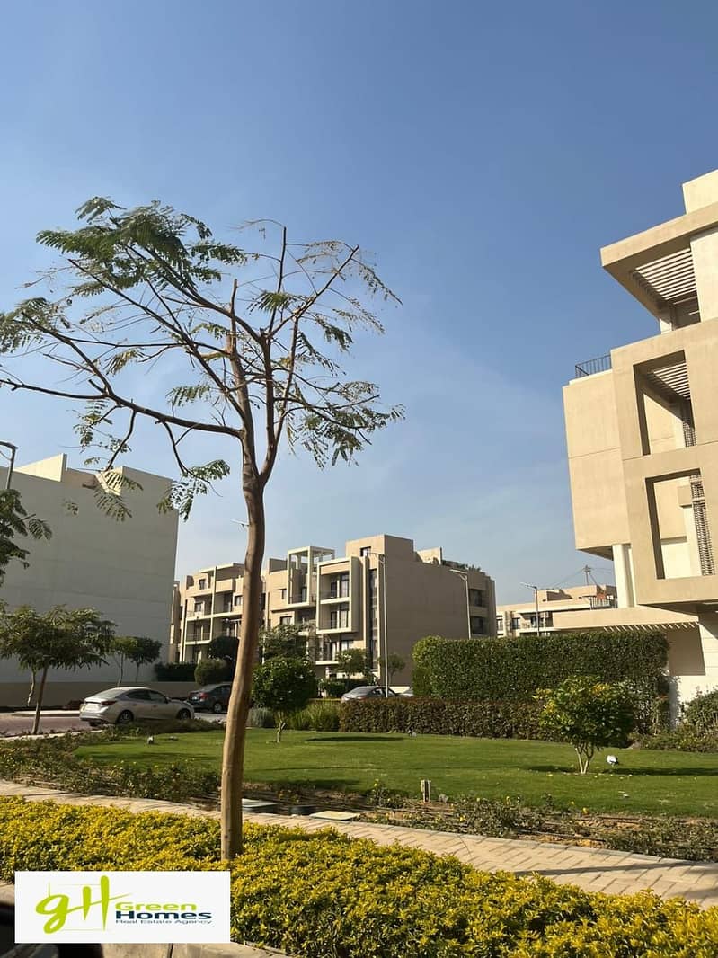 14 cadbe7b1-2ad5-49ef-9efd-5db742805124. jpg