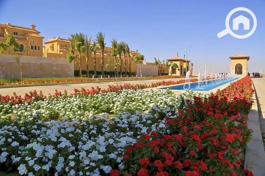 6 489371832_1263970018595351_7508707782156429417_n. jpg