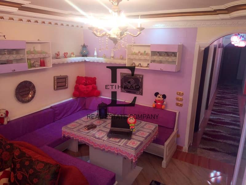 3 WhatsApp Image 2025-11-18 at 1.47. 07 PM (3). jpeg