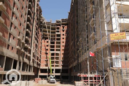 3 Bedroom Apartment for Sale in Smoha, Alexandria - 8W6A8225-min. JPG