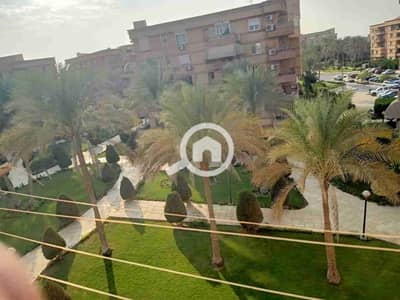 3 Bedroom Flat for Rent in New Cairo, Cairo - IMG-20251118-WA0016. jpg