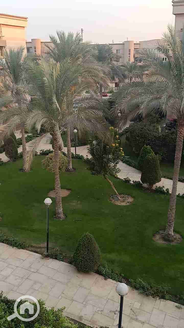 4 IMG-20251118-WA0025. jpg