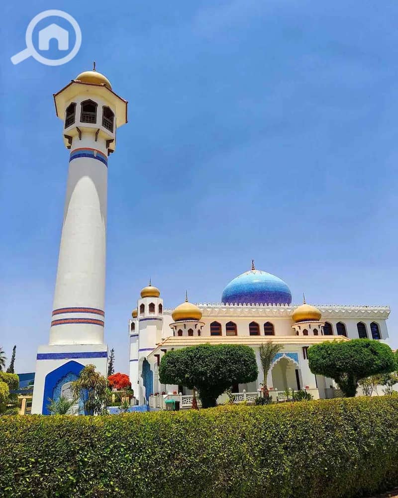 14 a705f9e7-afdb-4414-9805-53cc4c84e58e. jpg