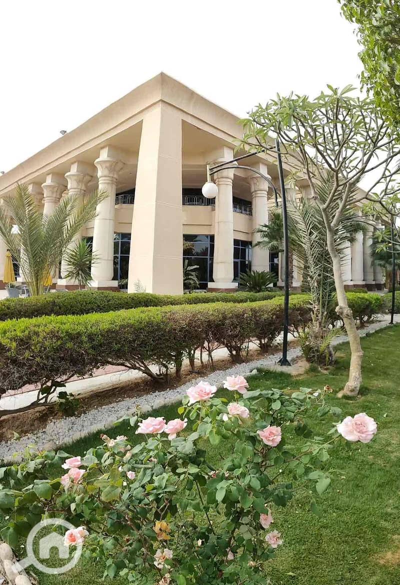 15 70555913-f51b-44e1-87c4-d27d4d23a133. jpg