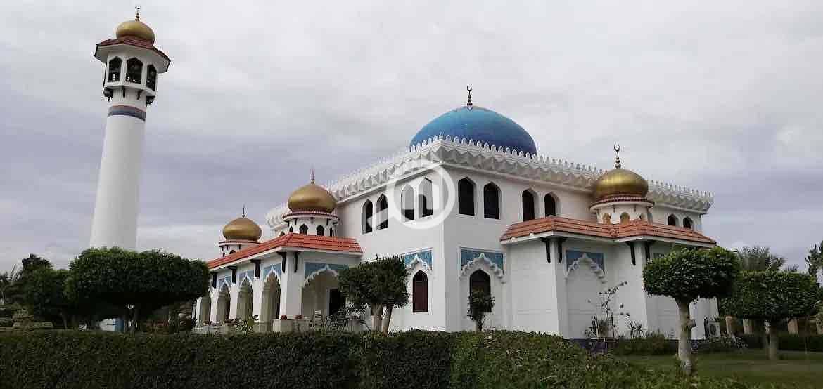 17 829de1cc-e07a-4fb3-8a73-68fee871e06c. jpg