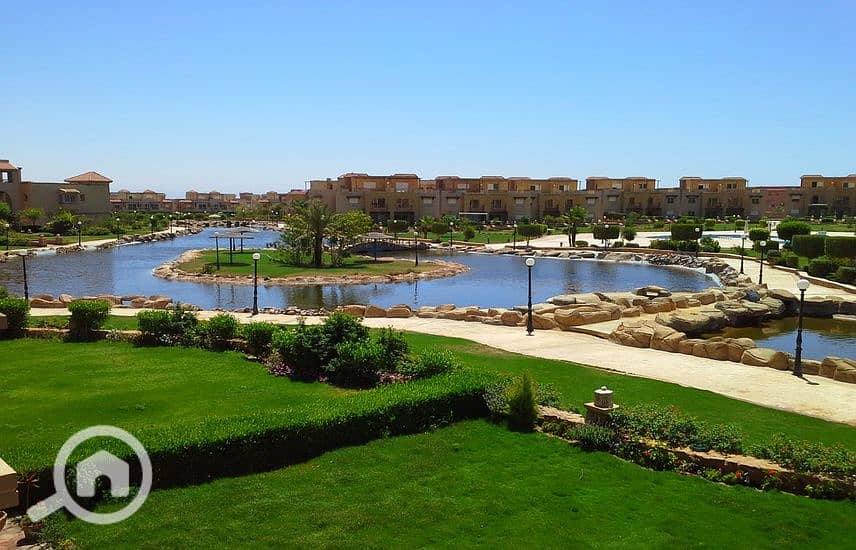 4 1282416-0557do. jpg