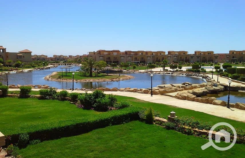 2 1282416-0557do. jpg