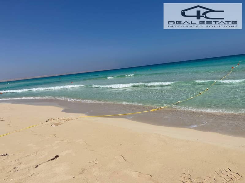 15 WhatsApp Image 2024-06-24 at 1.55. 07 PM (1). jpeg