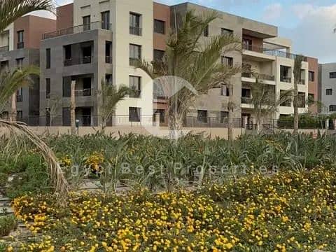 5 image - 2025-11-13T124055.264. png