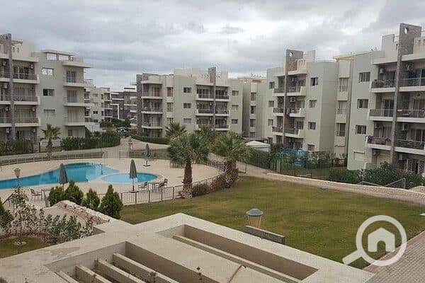 6 ذا-ادريس. jpg