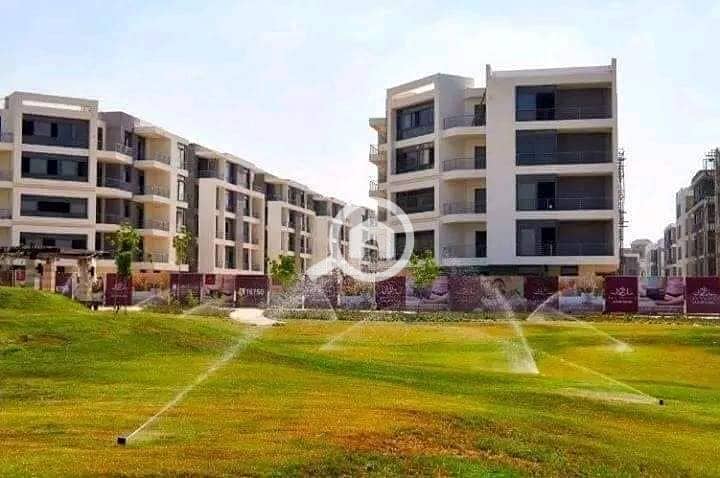 2 474461027_1292237818640756_8625808553761030697_n. jpg