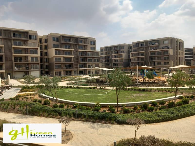 14 WhatsApp Image 2025-04-22 at 11.56. 00_f19676b6. jpg