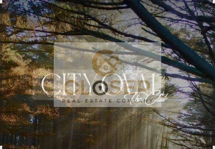 8 f3cafadf-b362-4003-a213-dec1cb36a49a. jpg