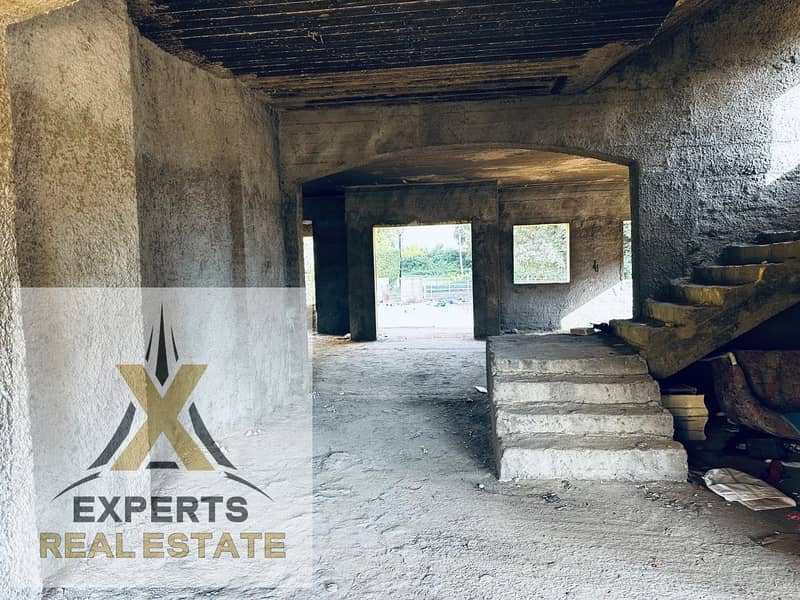 11 bf1eb11d-85e1-46ce-ba50-b41ec2ae546e. jpg