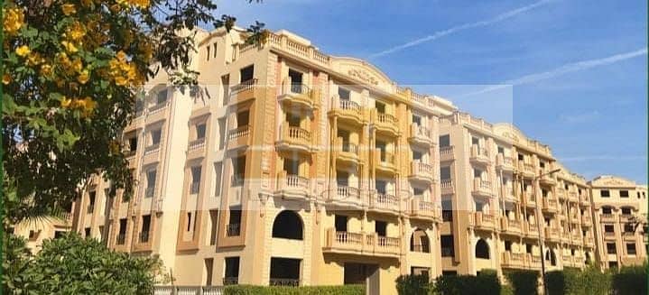 13 WhatsApp Image 2025-10-20 at 11.28. 37_b0f5526f. jpg