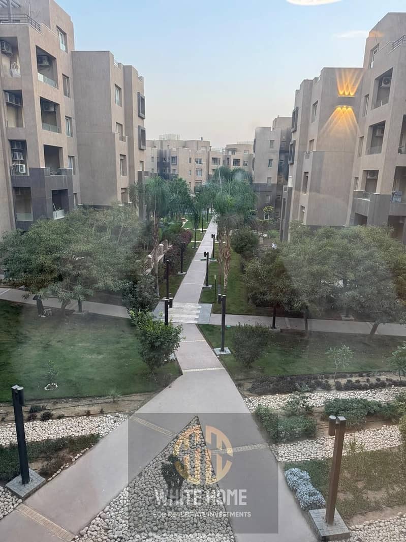 7 f5858213-a0a2-40ca-83f5-44525e4d9f80. jpeg