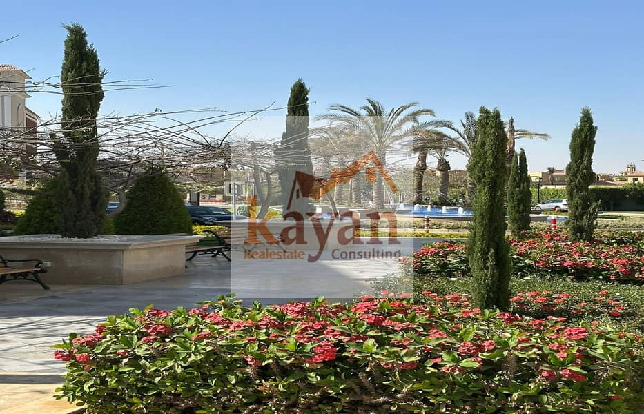 7 c418d33b-0df3-45db-b632-84e978e7fc0e. jpg