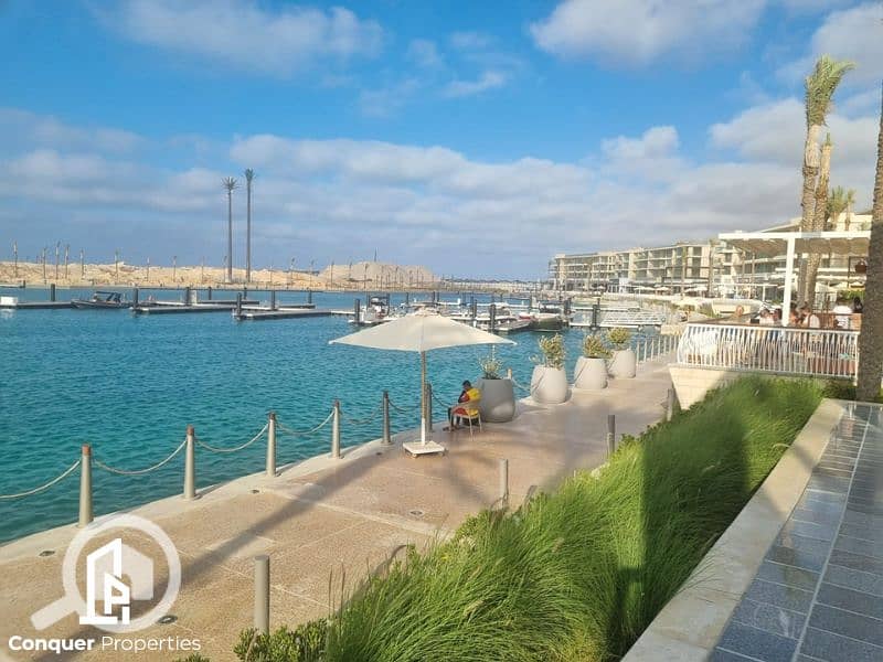 3 Untitled design - 2023-07-26T145858.036. png