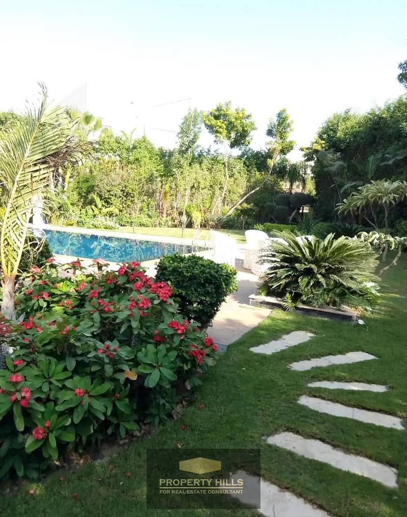 13 db8b983b-be91-4ac4-9d32-194bad4f2ecf. jpg