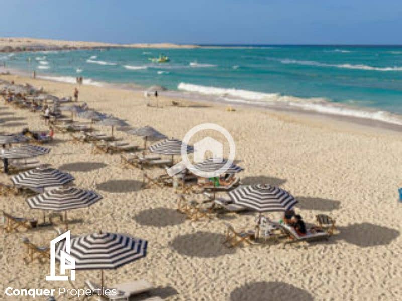 3 Untitled design - 2023-10-16T144741.409 (2). png