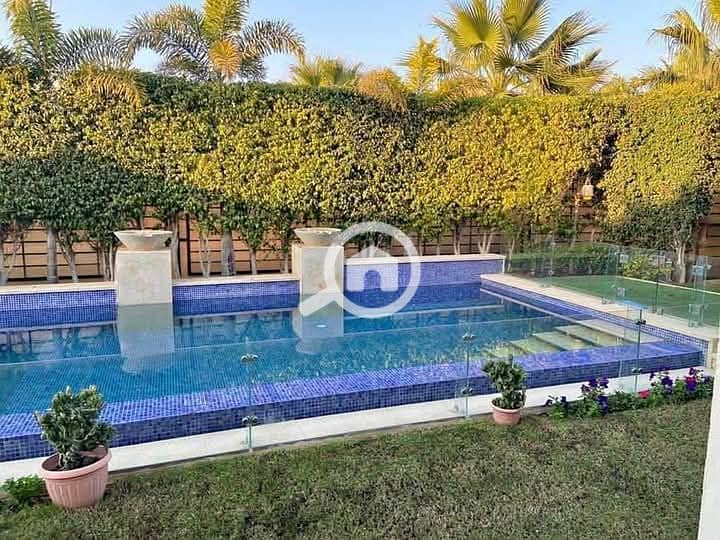 11 95174bce-fed0-43e9-ae91-be974465cb14. jpg