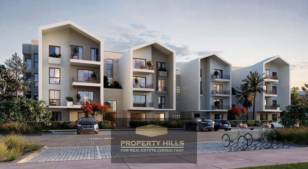 4 WhatsApp Image 2024-10-22 at 11.39. 45 AM (1). jpeg