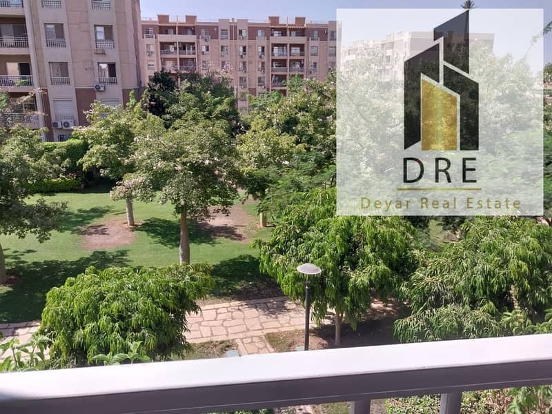 11 17447458-0363-4546-adf3-87adf9665093. jpg