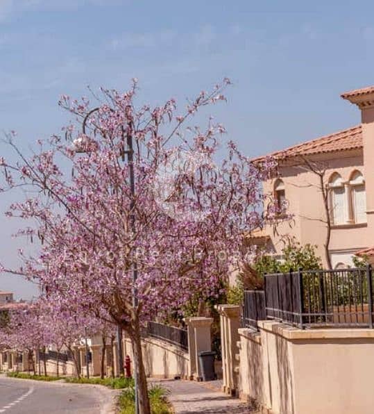 14 Web capture_10-7-2025_13724_www. emaarmisr. com. jpeg