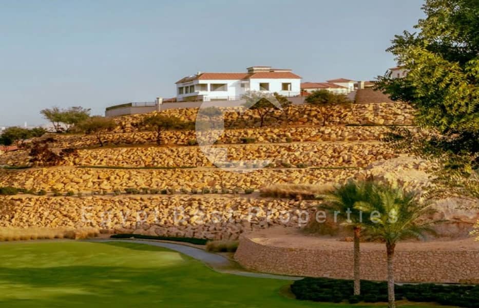 20 Web capture_21-8-2024_195642_. jpeg