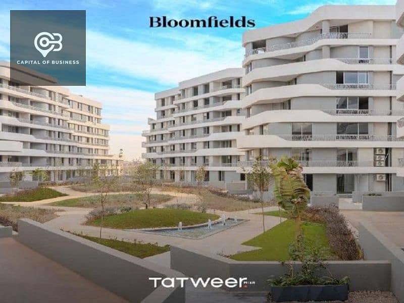 4 493574620_706909071844405_6932907394868993062_n. jpg