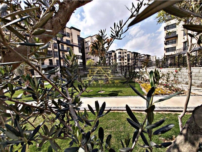 1604484c-d3db-40ff-9106-6766d396c40b. jpg