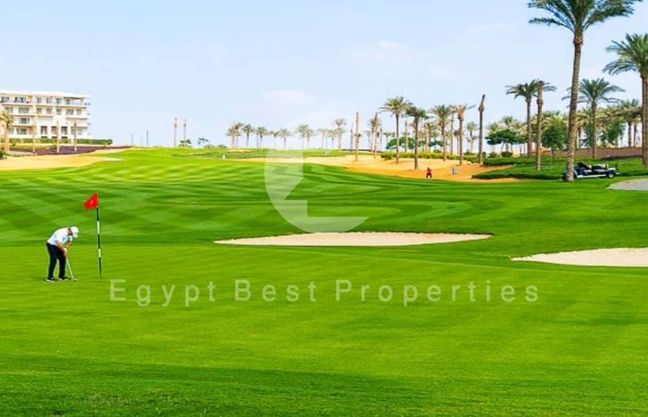 16 Web capture_21-8-2024_19575_. jpeg